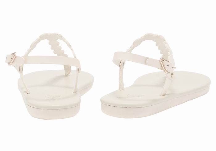 Sandales Bride Arrière Ancient Greek Sandals Velos Flip Flop   | WBW-5197668